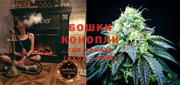 сатива Долгопрудный
