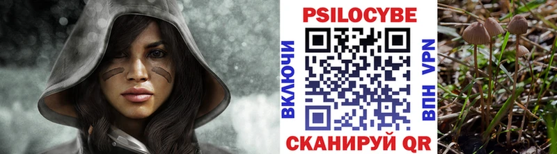 Псилоцибиновые грибы Magic Shrooms  кракен ссылки  Цимлянск 