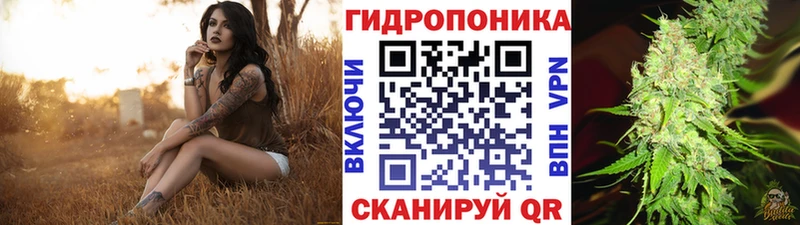 где купить наркотик  Цимлянск  Марихуана Ganja 